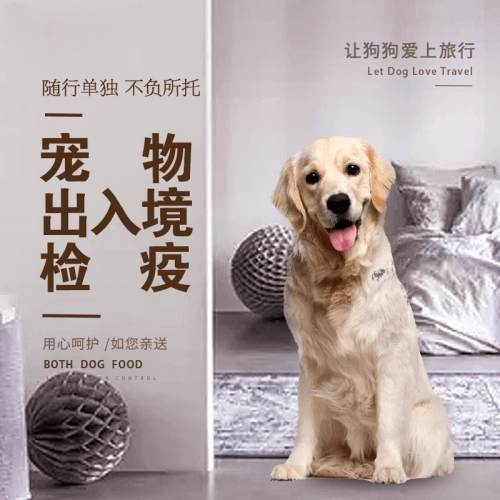 杭州市宠物托运到哥伦比亚猫狗宠物入境规定和