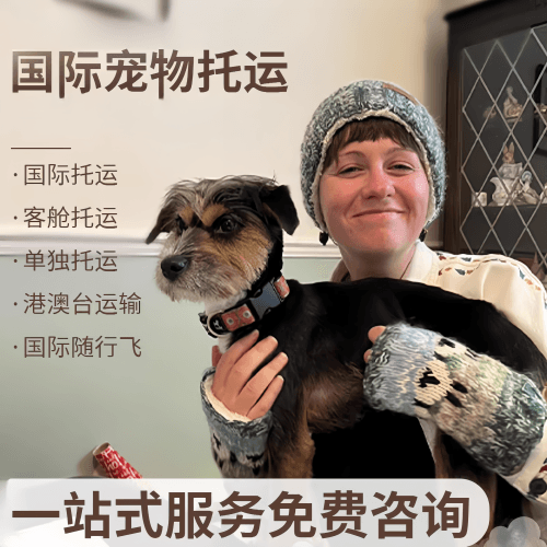 杭州市国际宠物托运到阿根廷宠物入境规定和要
