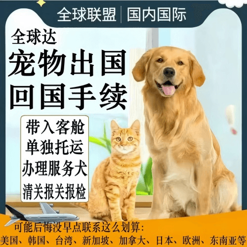 杭州市宠物托运到柬埔寨宠物入境规定和要求