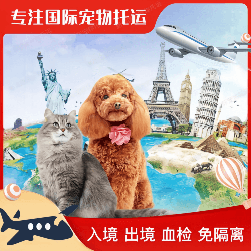 杭州市宠物托运到美国宠物入境最新规定和要求