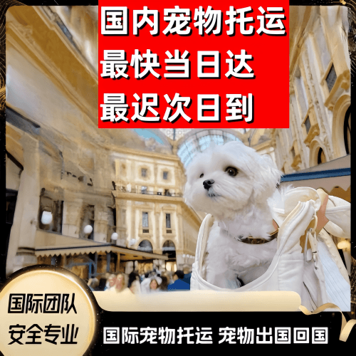 杭州市到澳大利亚（澳洲）宠物入境规定和要求