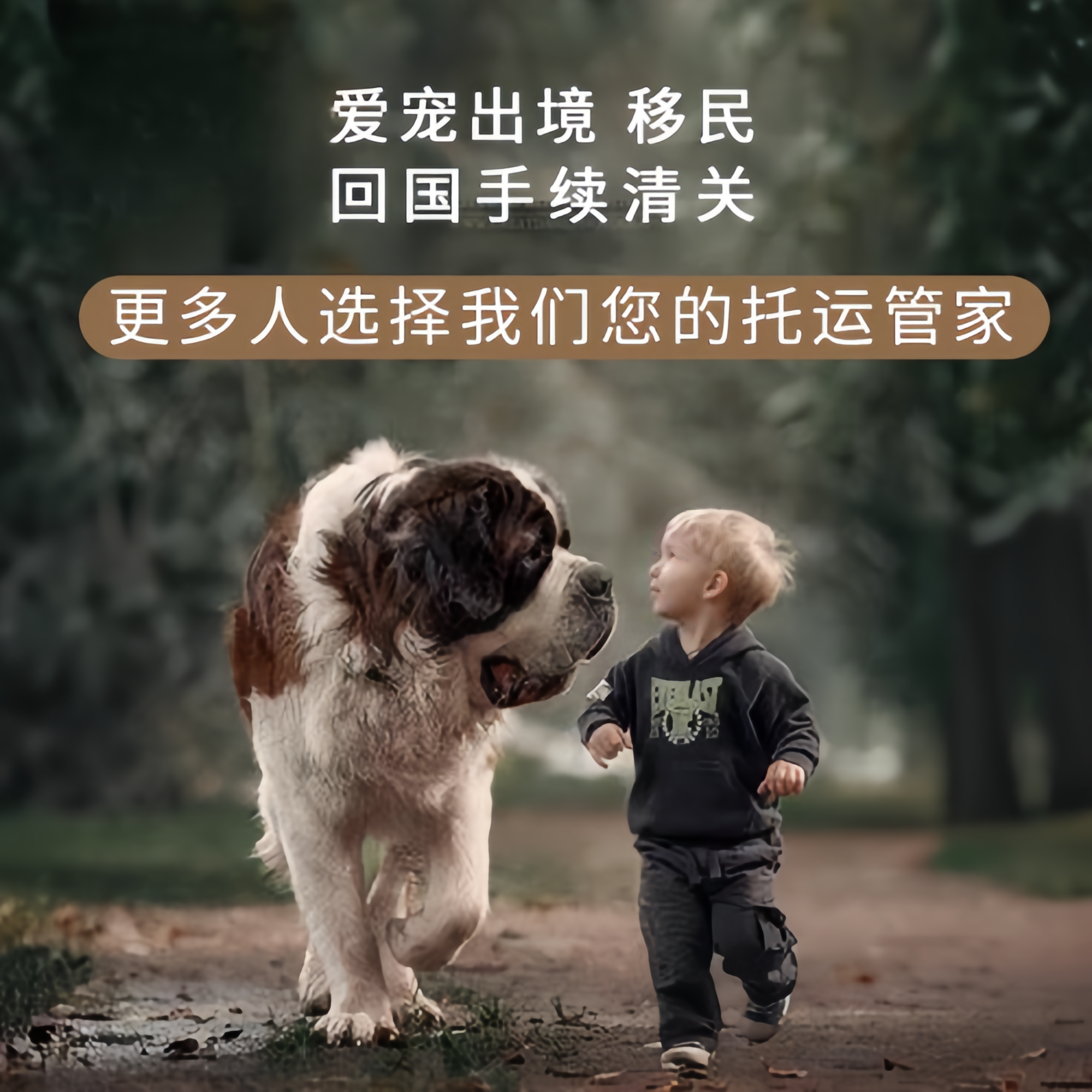满财杭州市宠物全球达宠物托运在遵守入境目的地政策的条件
